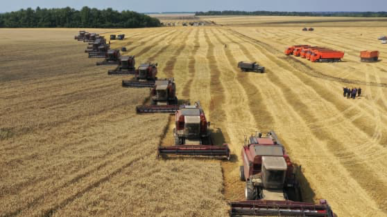 Eurasian Agro-Logistics